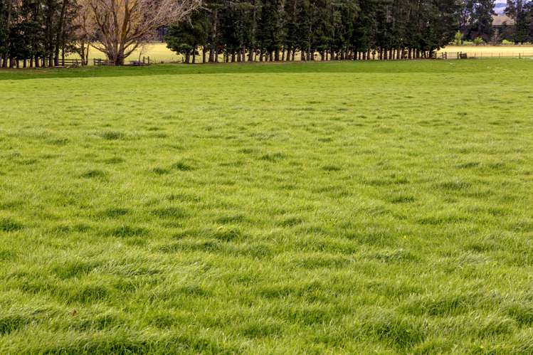 Hawarden Waikari Road Waikari_21