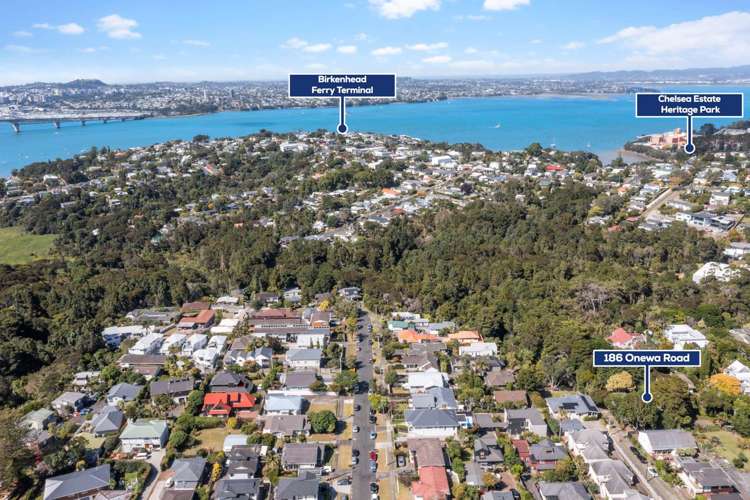 186 Onewa Road Birkenhead_21