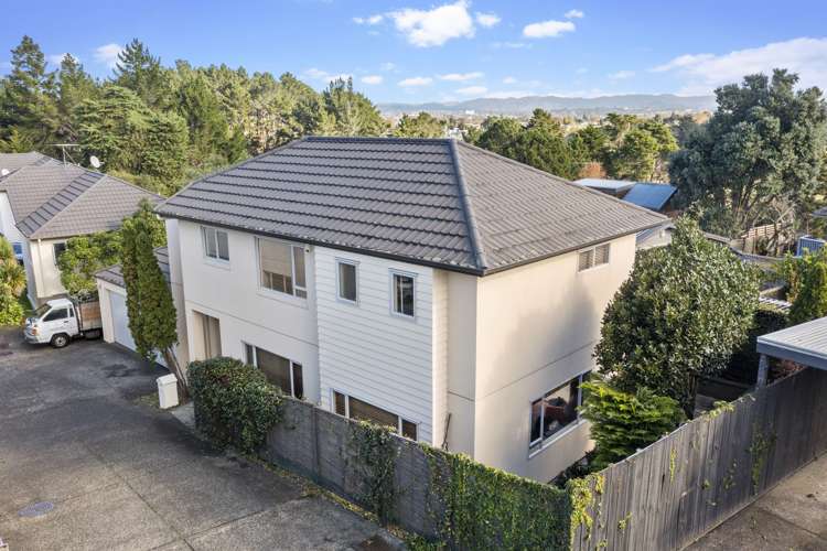 30a Fairlands Avenue Waterview_17