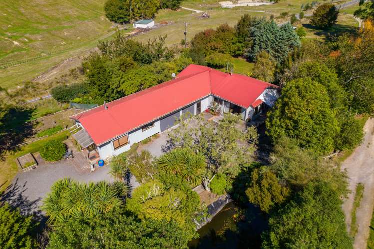 202 Whangamata Road Kinloch_17