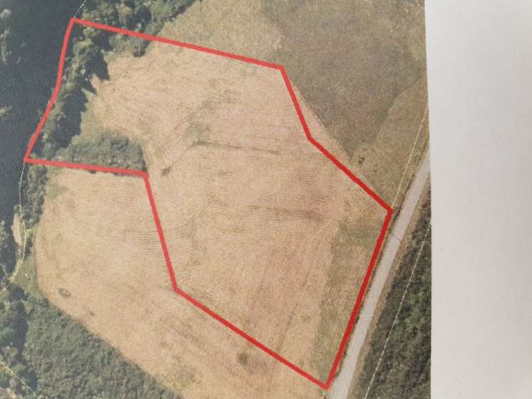 Blue Spur Road Hokitika_1