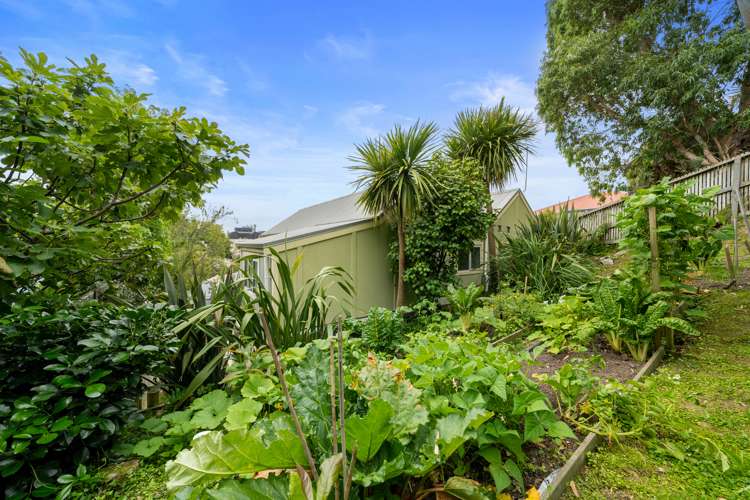4c/20 Maarama Crescent Aro Valley_6