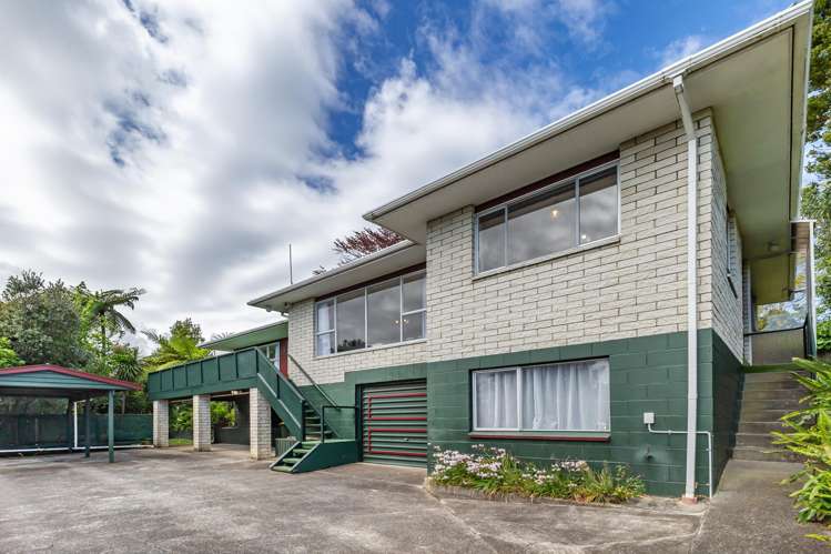 18 Argyle Avenue Levin_15