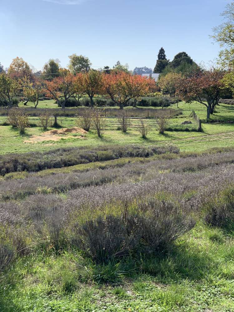 11 Mount Heslington Road Brightwater_3