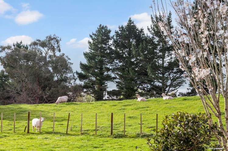 703 Runciman Road Pukekohe East_23