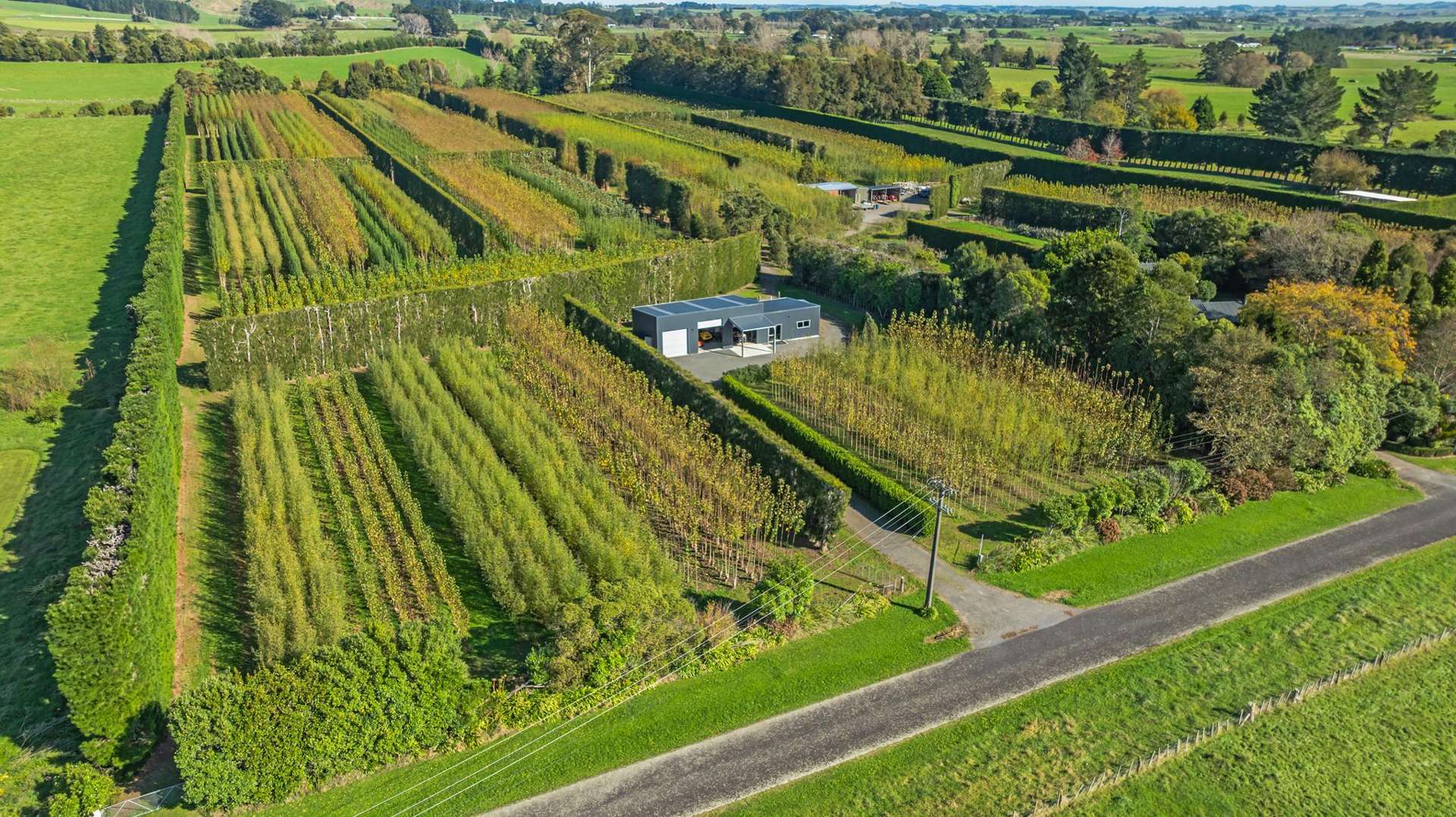 96 Engles Road Shannon_0