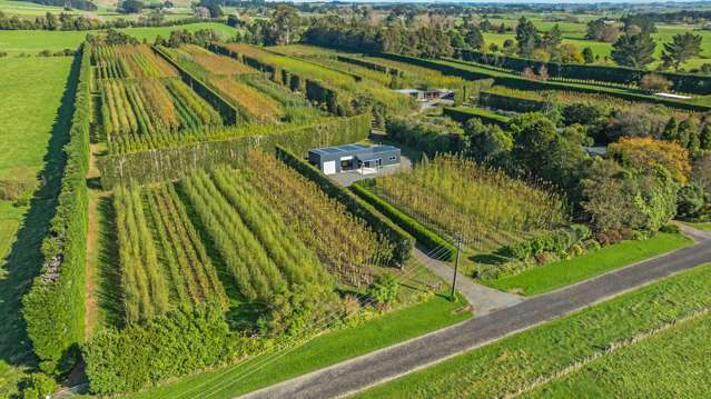 Matatoa Nursery