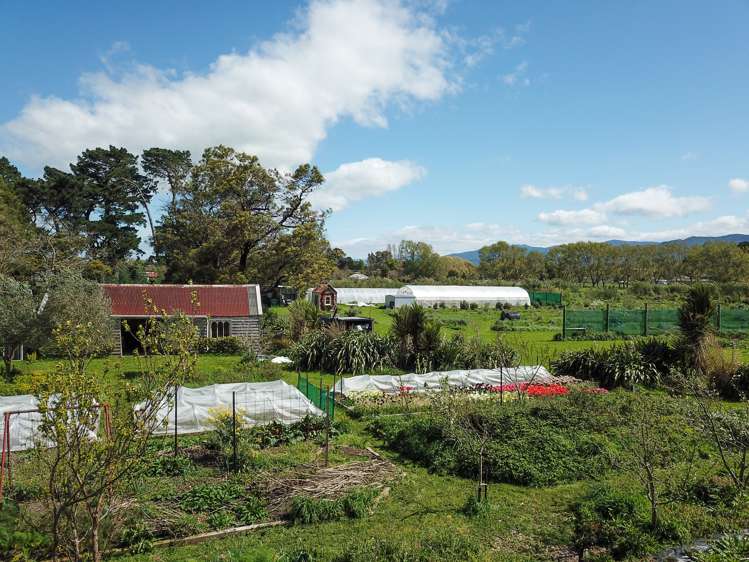 86 Connollys Line Carterton_18