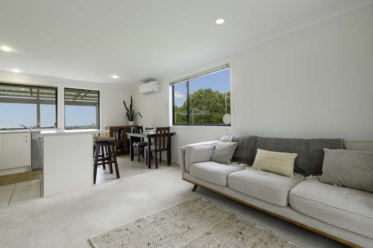 557 Esdaile Road Whakamarama_25