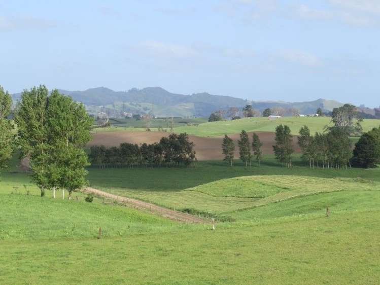 114 Pukekapia Road Ruawaro_6