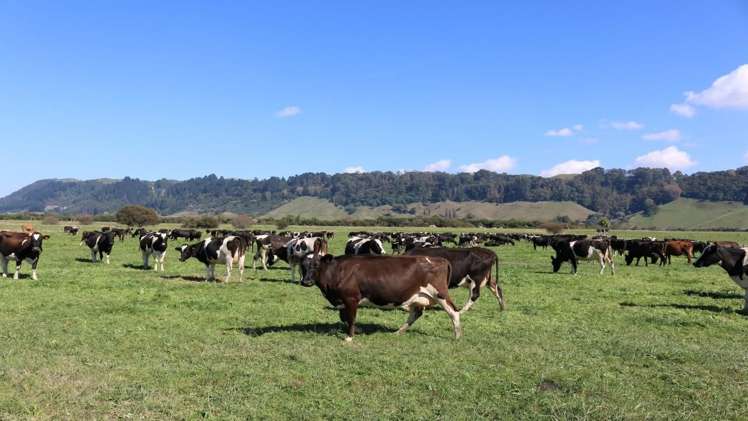 79 Otakiri Soldiers Road Otakiri_2