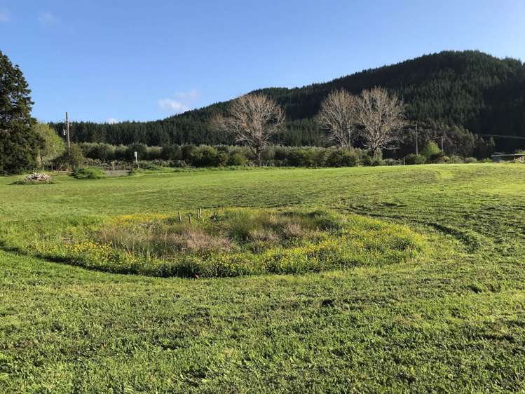 793 Whangaripo Valley Road Whangaripo_29