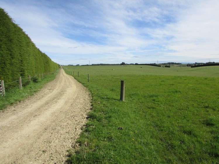 839 Grove Bush Woodlands Road Winton Surrounds_11