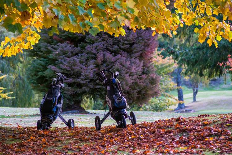 14 Pukeko Way Kinloch_8