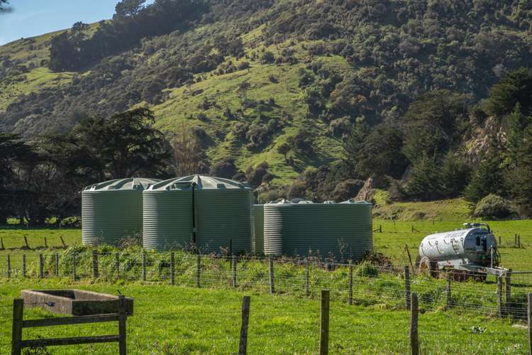 1234 Okains Bay Road Okains Bay_47