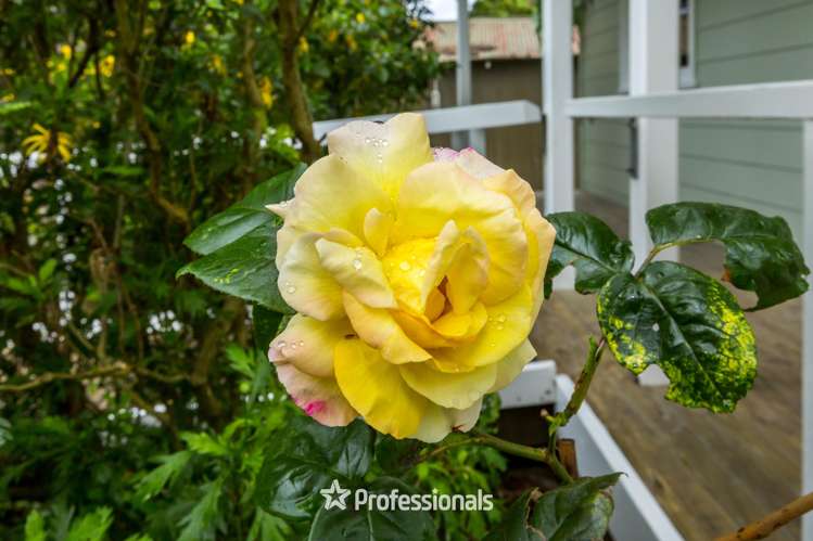 3 Plateau Road Te Marua_16