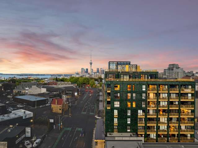 20 Williamson Avenue Grey Lynn_2
