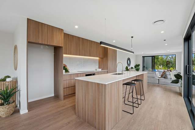 21 Metzger Road, Hanley's Farm Jacks Point_4