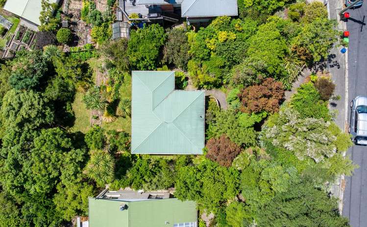 177 Evans Street Opoho_21