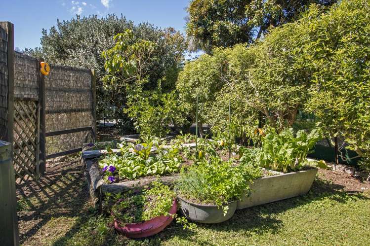 87a Park Road Katikati_15