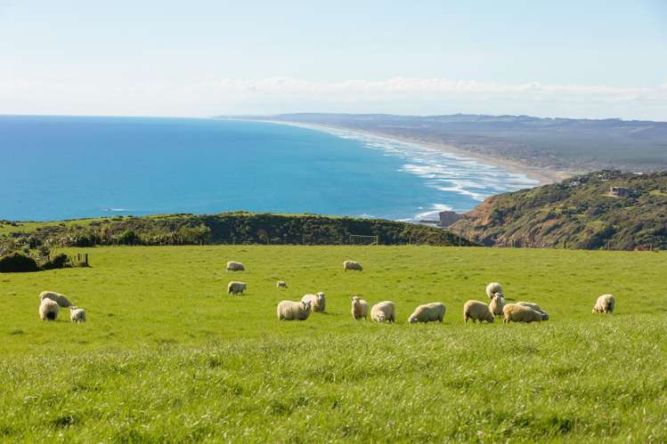 216 Constable Road Muriwai Beach_13