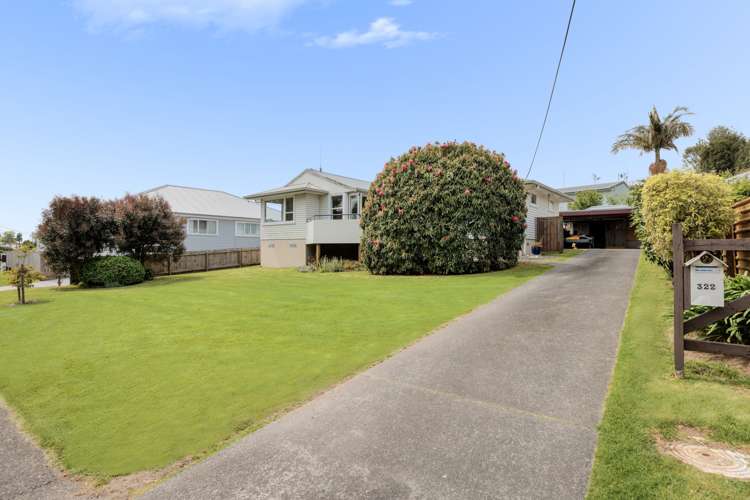 322 Ngatai Road Bellevue_16