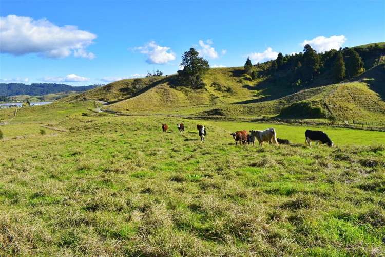 Lot 5/80 Ruatuna Road Waiotahi_6