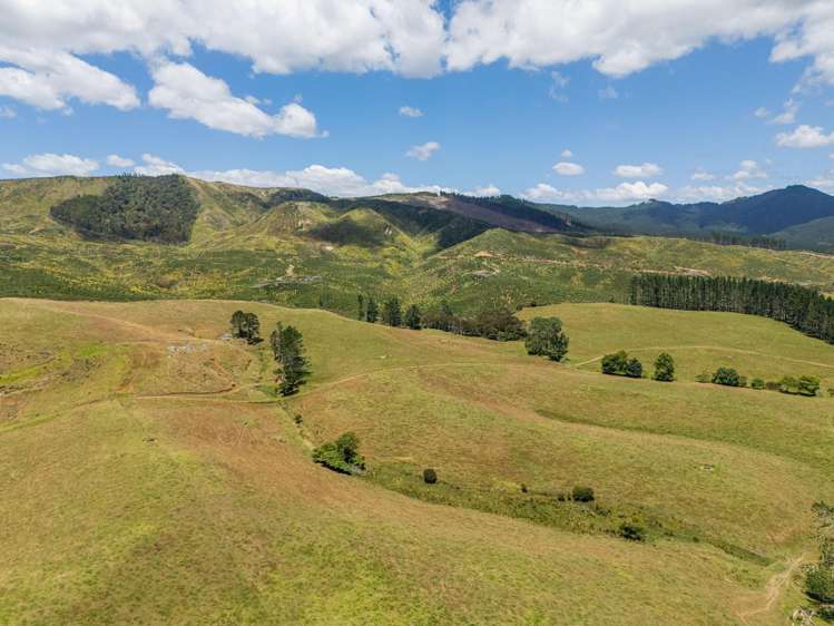 106 State Highway 25 Otapaurau_14