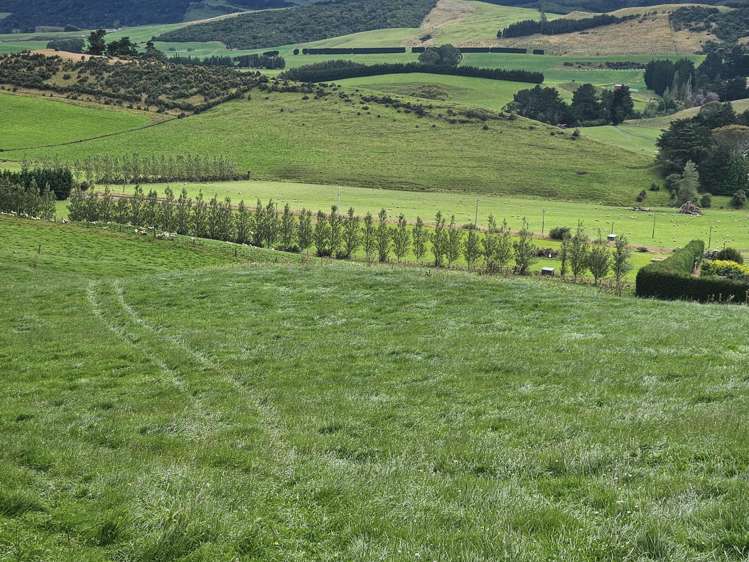 1551 Owaka Valley Road Owaka Valley_2