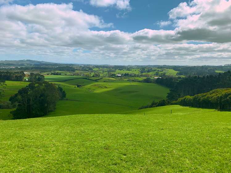 283 Trig Road Tuakau_5