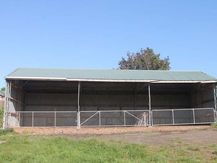 59 Oware Road Catlins Surrounds_13