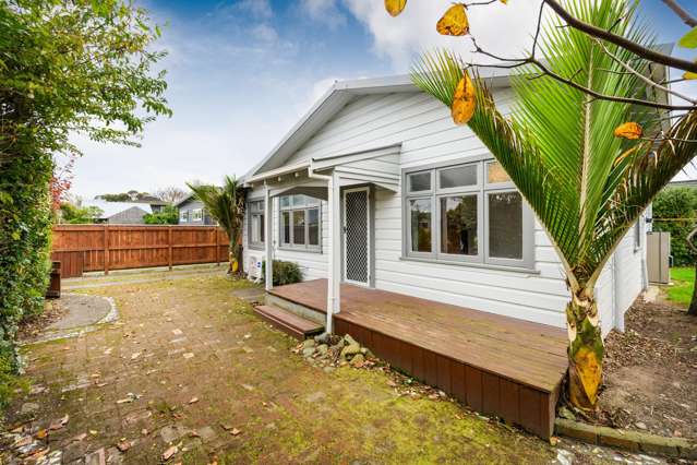 17 Haydon Street Roslyn_1