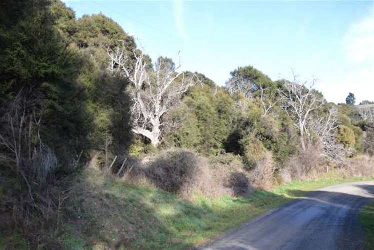 194 Grehan Valley Road Akaroa_7