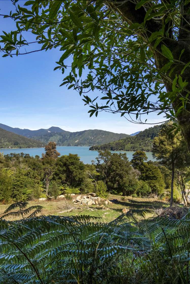 Lot 42 Kaiuma Bay Road Kaiuma Bay_22