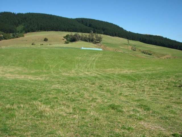 183 Gunn Road Catlins Surrounds_4