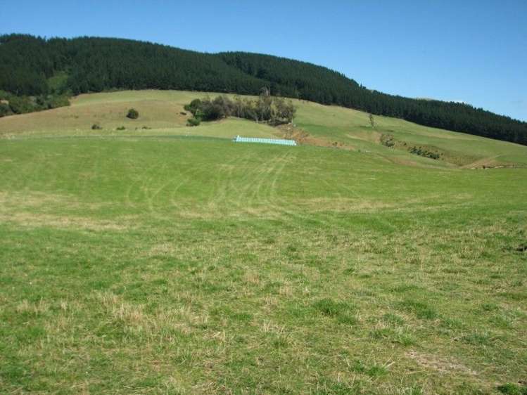 183 Gunn Road Catlins Surrounds_4