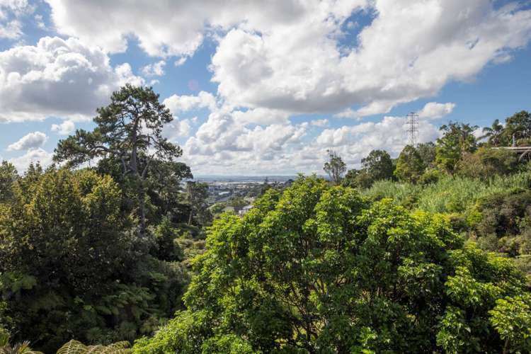 23p Hendry Avenue Hillsborough_10