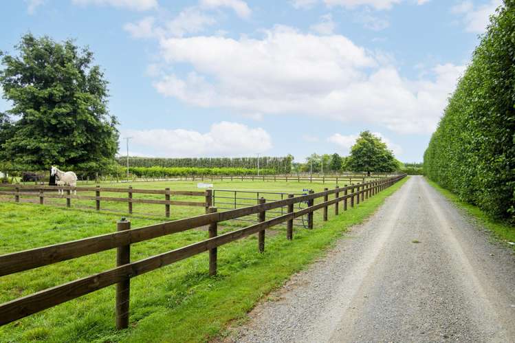 36 Bell Road Matawhero_7