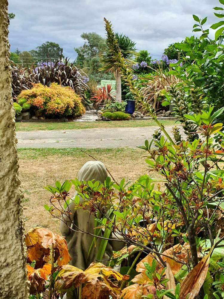 95 Cross Road Morrinsville_22