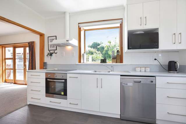 18 Harrison Street Allenton_3