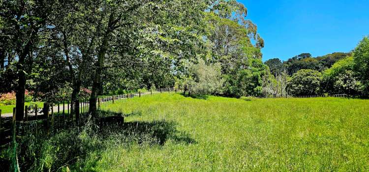 350A Bothwell Park Road Waiuku_19