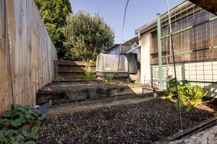 10A Tutauanui Crescent Maungatapu_19