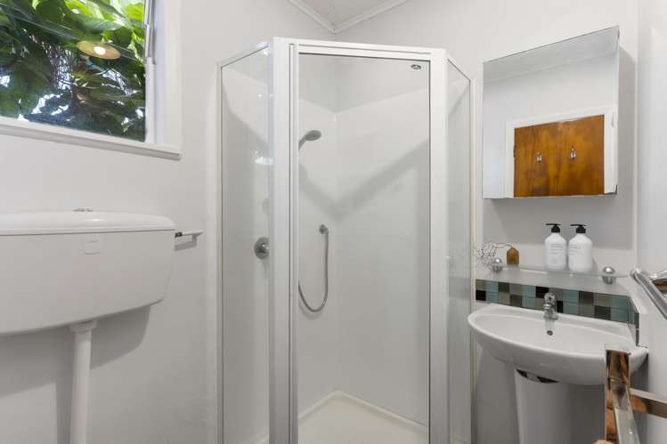 8 Evelyn Street Eden Terrace_6