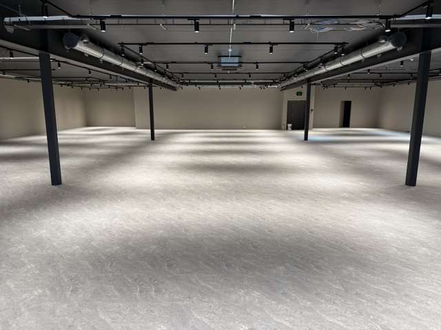 22 Munroe Street Napier South_3