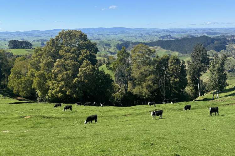 775 Te Raumauku Road Otorohanga_34