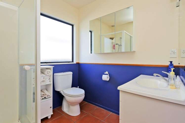 22 Palmbrook Avenue Havelock North_10