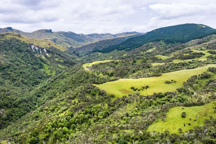 671 Saunders Road Tiraumea_16