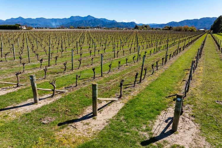 107 State Highway 63 Renwick_2