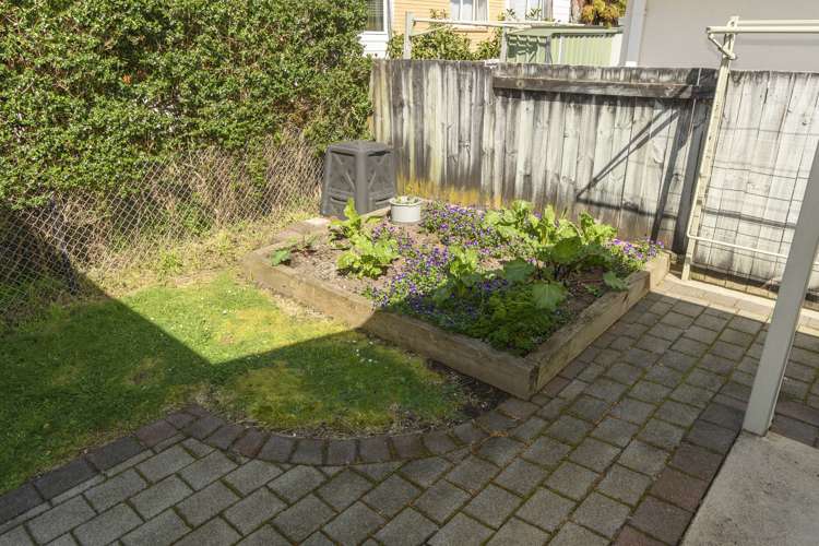 22 Maitland Street Greerton_11