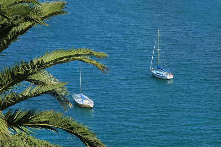 93 Donald Bruce Road Surfdale_9